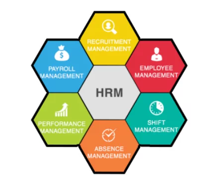 Human Resource Management categories