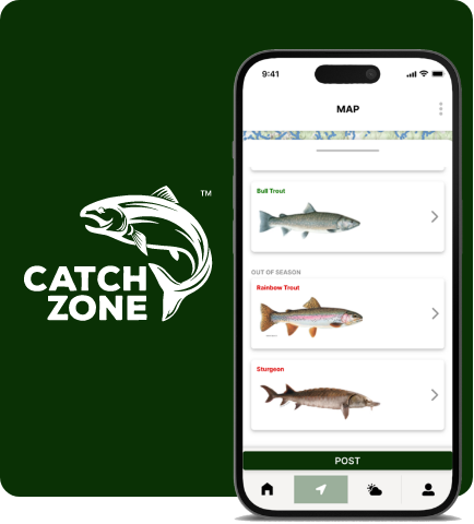 Catch Zone App