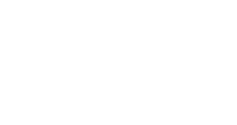 willo logo