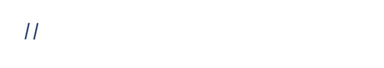 demskigroup logo white